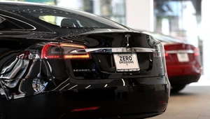 Tesla szybko zareagowała na tragiczny wypadek