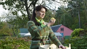 Rośnie popularność rolnictwa miejskiego. W miastach przybywa sadów i ogrodów  