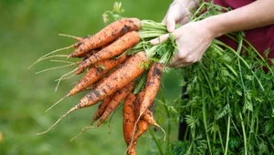 Naturalne sposoby na wzmocnienie odporności