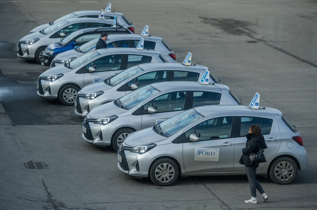 Przesunięcie uruchomienia systemu CEPiK 2.0 jest szczególnie istotne dla młodych kierowców