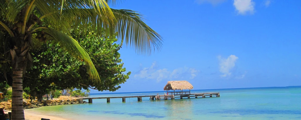 Plaża na Tobago. Tak mogły wyglądać polskie terytoria zamorskie