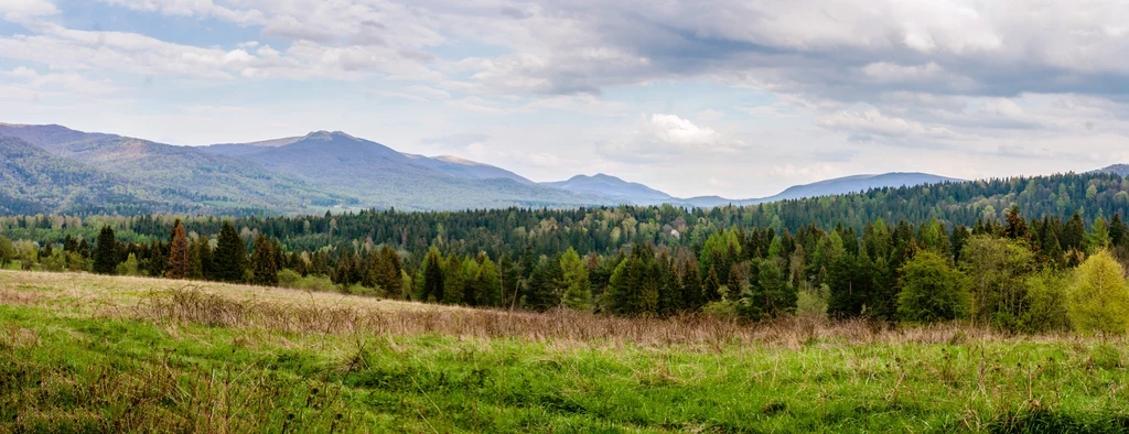 Bieszczadzki Zakapior