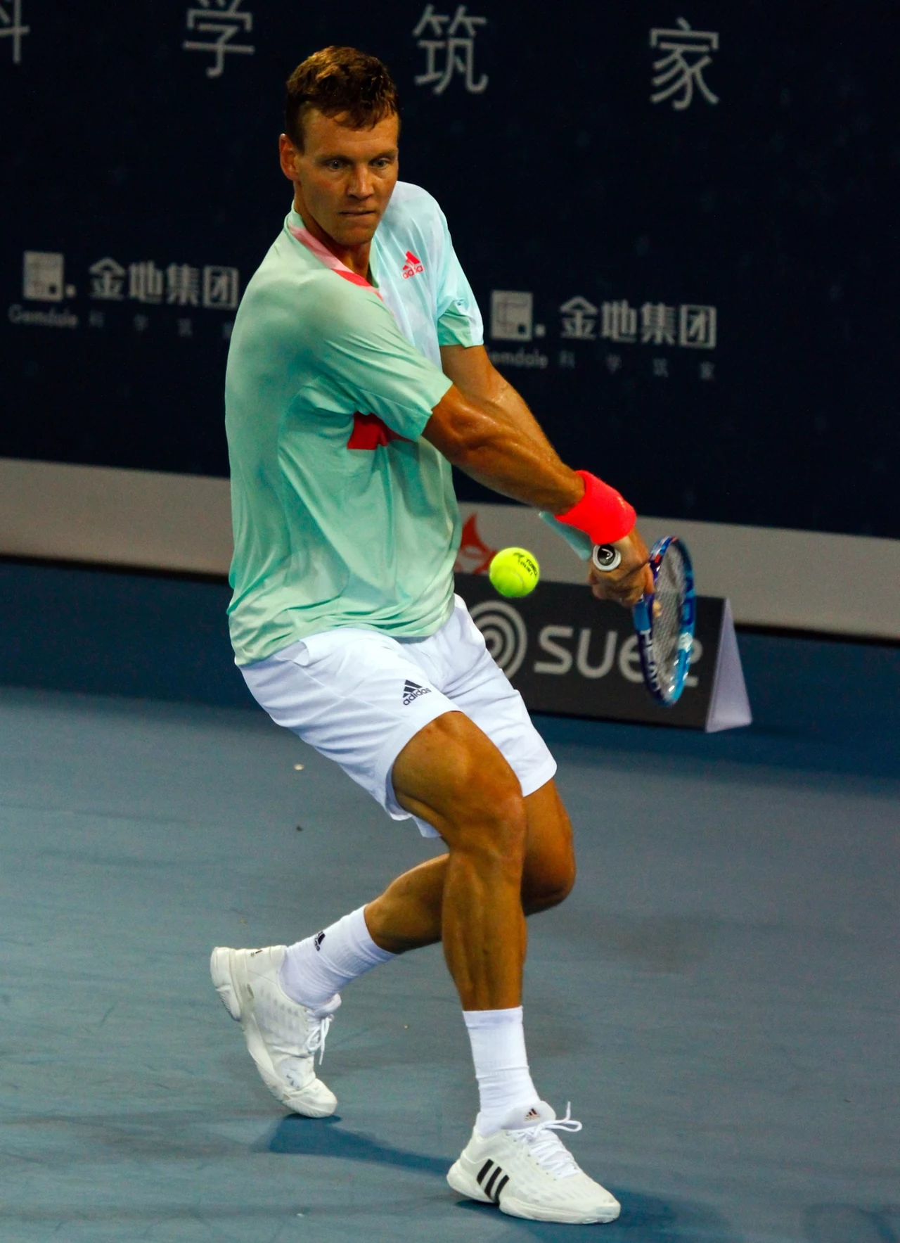 Tomasz Berdych Tomasz Berdych