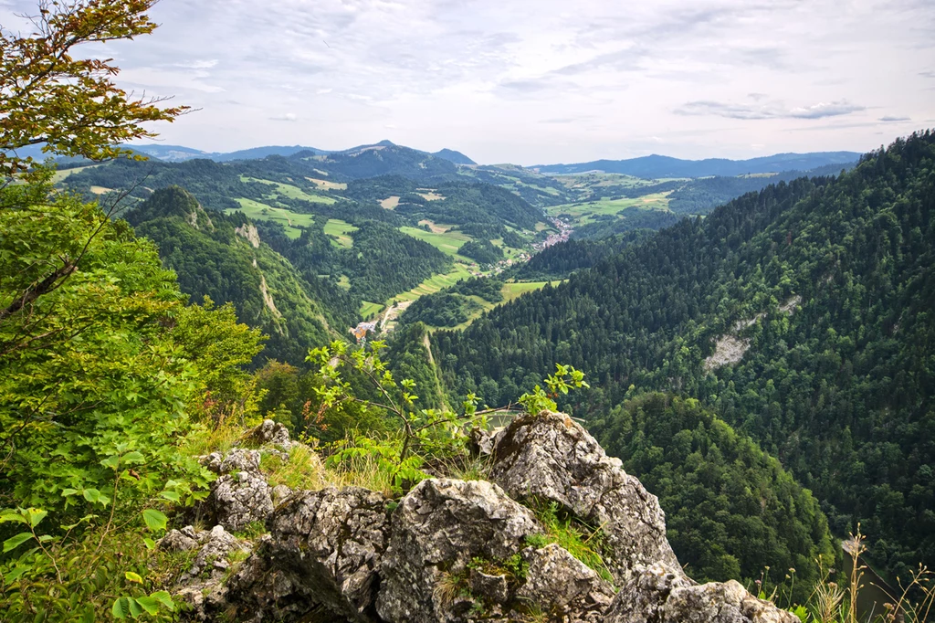 Pieniny - widok ze szczytu Sokolicy