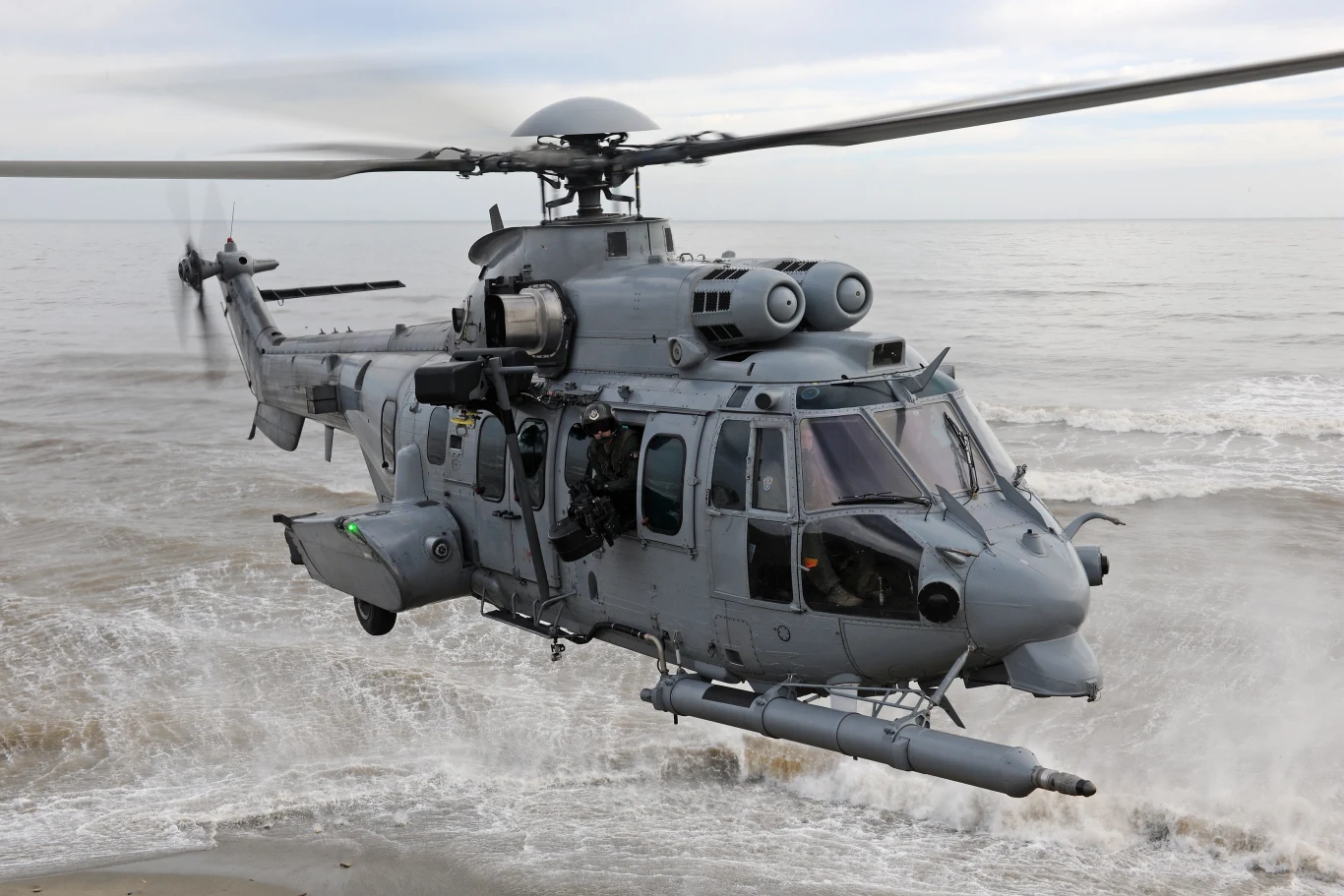 Caracal nad morzem Caracal nad morzem