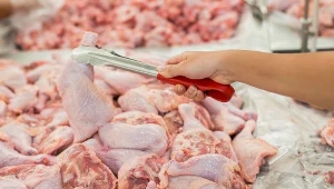 CETA: Szkodliwe substancje na sklepowych półkach?