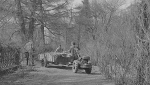 Wiosenne porządki w Łazienkach Królewskich w Warszawie. Jednoosiowy ciągnik Ursus C-308 ciągnie przyczepę z sianem. Zdjęcie z 1976 roku