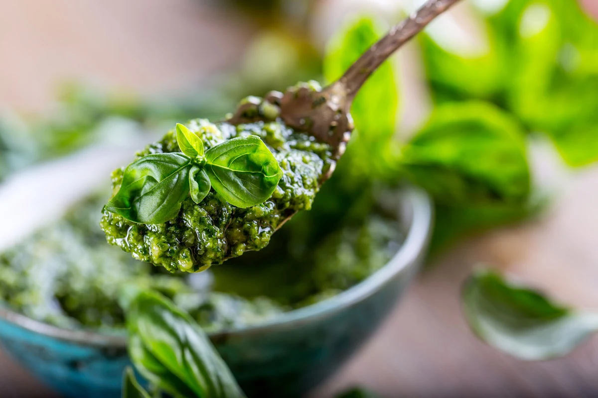 Z czosnaczku można przygotować m.in. wyśmienite pesto