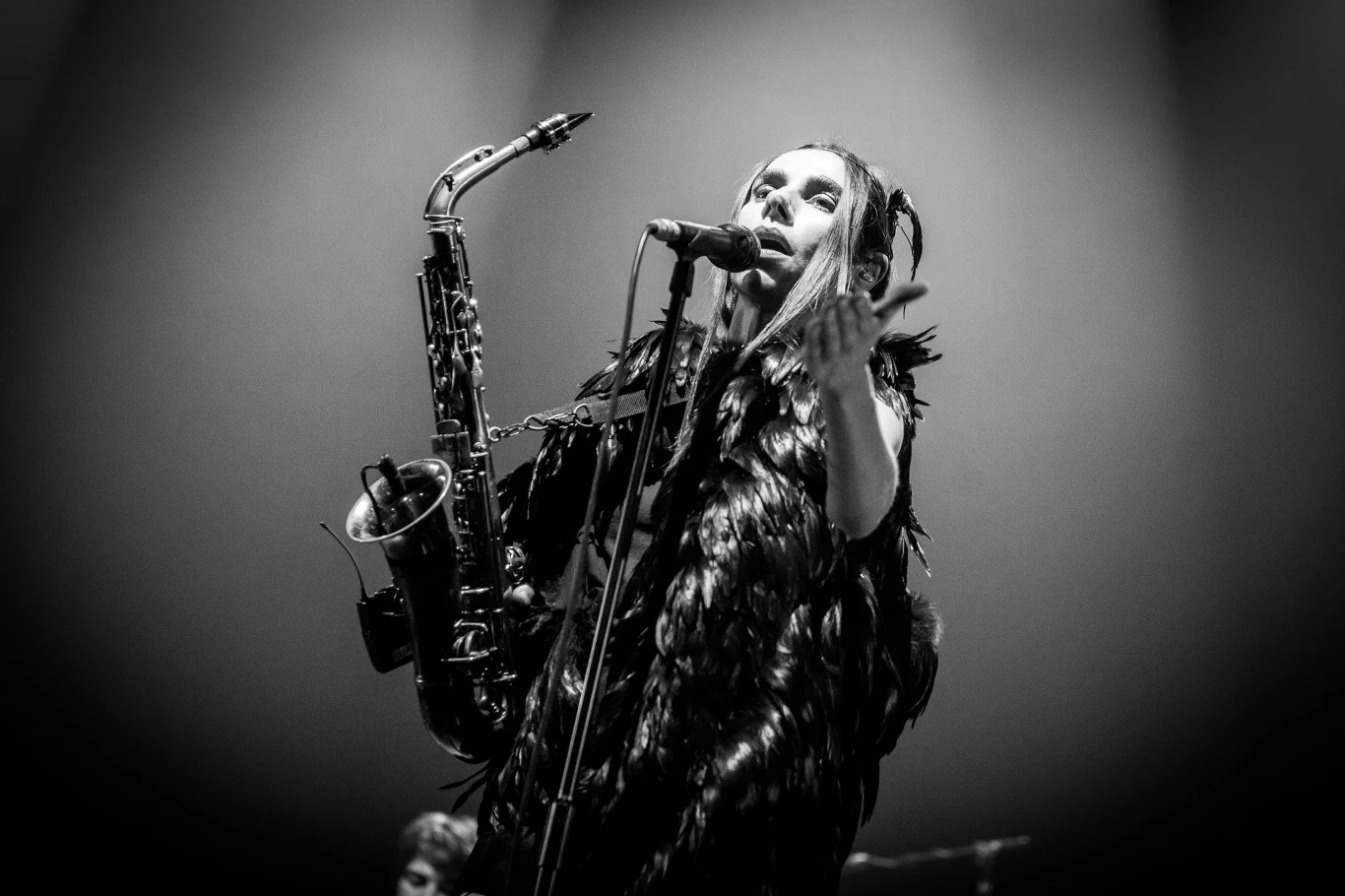 PJ Harvey