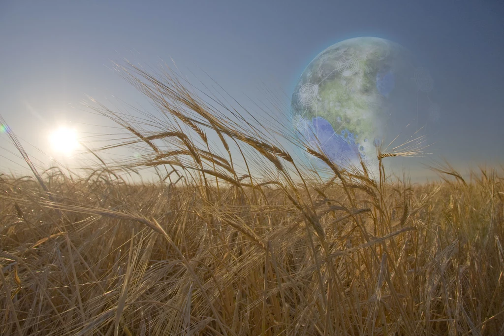 W naszym otoczeniu nie ma miejsca, z którego byłyby takie widoki... chyba że po terraformingu