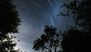 Orionidy to rój meteorów związany z kometą Halleya
