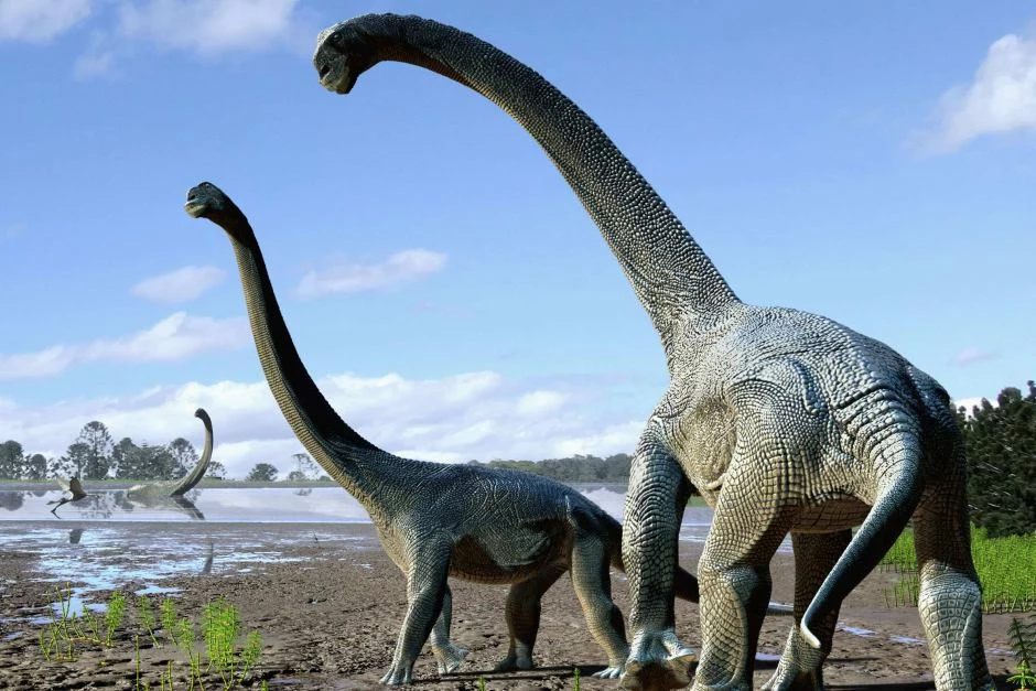 Savannasaurus elliottorum - nowo odkryty gatunek tytanozaurów