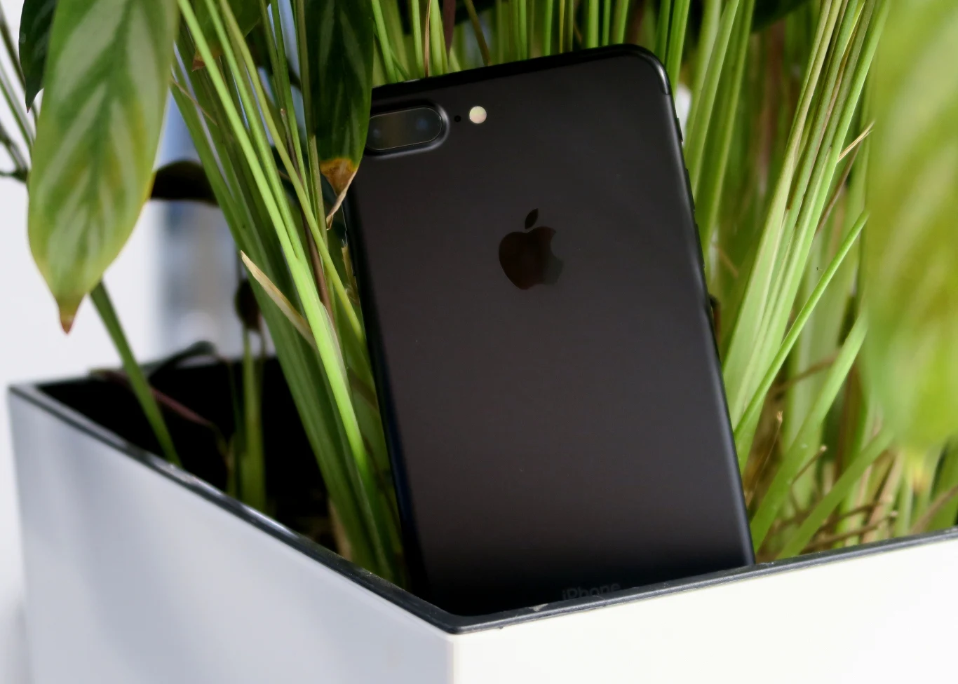 iPhone 7 Plus iPhone 7 Plus