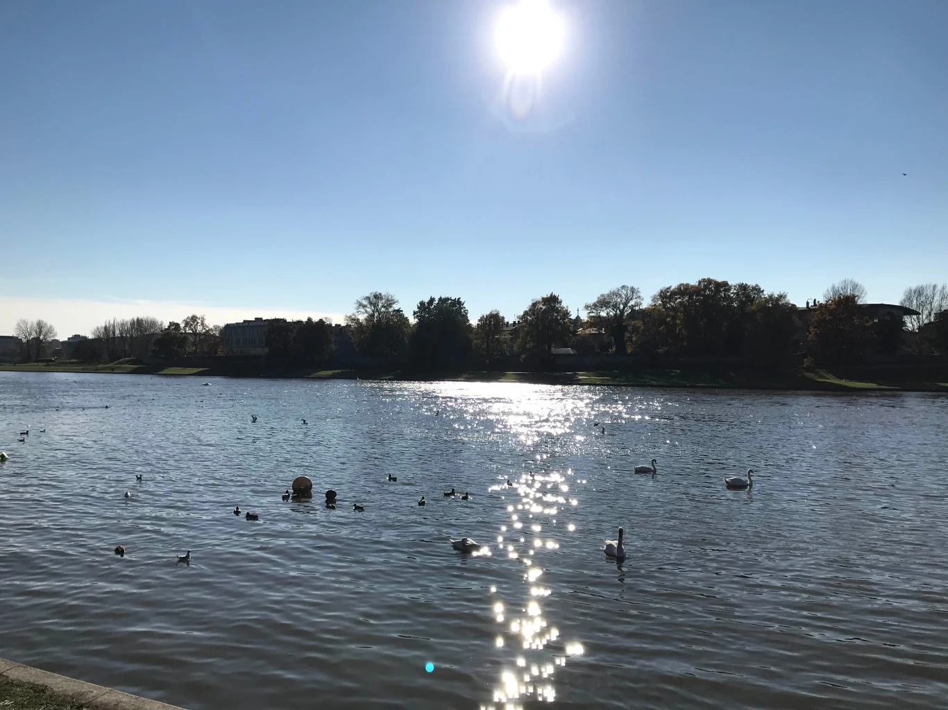 Fot. iPhone 7 Plus Fot. iPhone 7 Plus