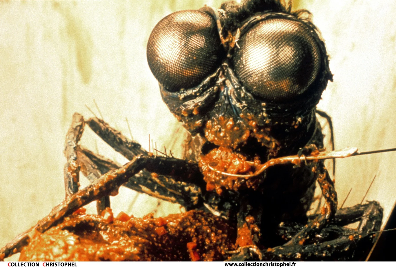 Dwa lata później Jackson realizuje czarną komedię "Meet the Feebles", utrzymaną w stylistyce Muppetów. Główni bohaterowie filmu przypominają bowiem słynne lalki Jima Hensona z tą różnicą, że nie są tak sympatyczne, jak Kermit, czy świnka Piggy. Wprost przeciwnie: hipopotamica Heidi, czy jej kochanek mors Bletch są ucieleśnieniem najgorszych ludzkich cech. Akcja filmu rozgrywa się więc wśród gwiazd porno i zawiera sporo szokujących momentów: używanie narkotyków, scen gwałtu, czy pijackich zabaw głównych bohaterów.

O ile w obsadzie "Złego smaku" ciężko było wypatrzyć jakąś kobietę, tak w "Meet the Feebles" nie uświadczysz żadnej ludzkiej postaci. Większość bohaterów to bowiem prawdziwe lalki, tylko niektóre z nich portretowane były przez aktorów, ubranych w specjalne kostiumy. Film był reklamowany hasłem: "Reżyser 'Złego smaku' prezentuje film w całości pozbawiony smaku".