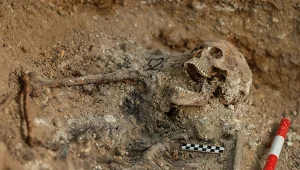 Pierwsze sondaże archeologiczne przeprowadzono w Bielsku Podlaskim we wrześniu 2016 r (zdjęcie ilustracyjne)