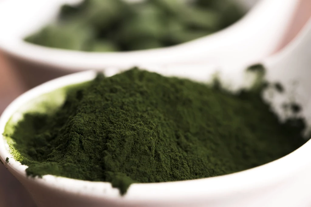 Chlorella Chlorella