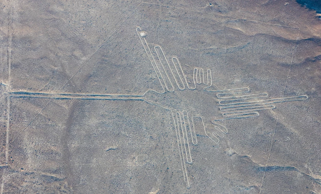 Rysunki z Nazca. Fot. Diego Delso