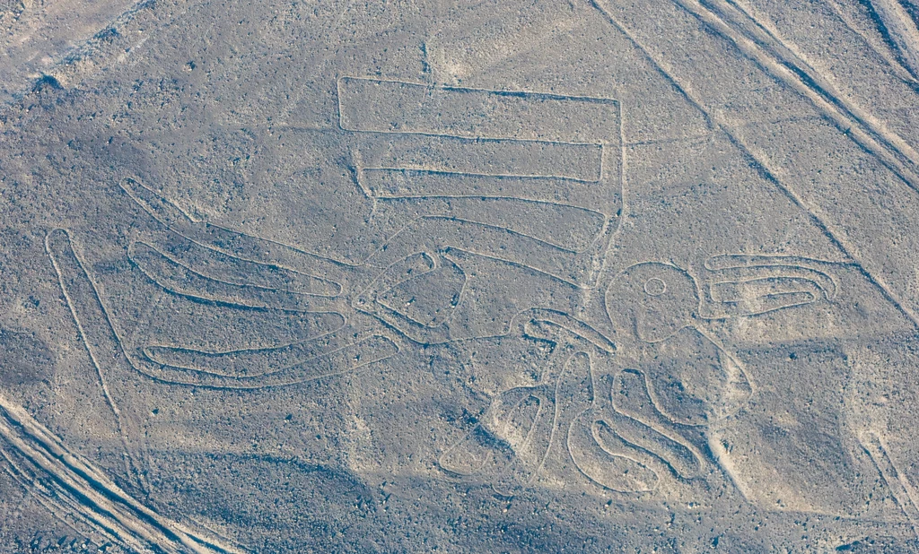 Rysunki z Nazca. Fot. Diego Delso