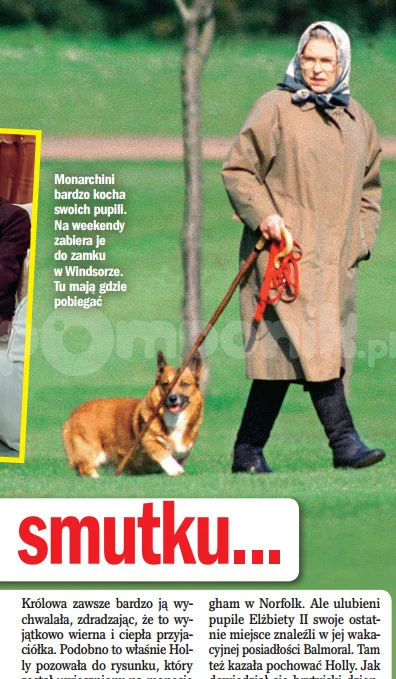 Królowa Elżbieta uwielbia psy