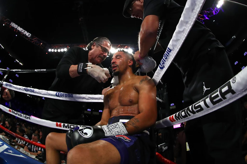 Andre Ward w ringu