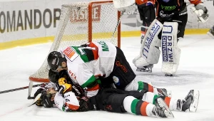 Hokeiści GKS-u Tychy