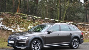 Audi A4 allroad 2.0 TFSI - szkoda tylko, że nie lata