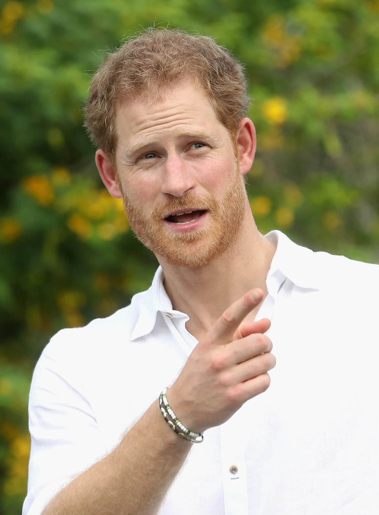 Książę Harry Książę Harry