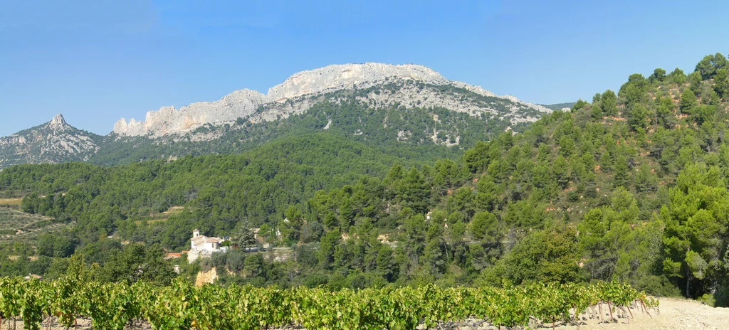 Masyw Dentelles de Montmirail.