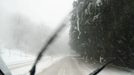 Jaka będzie pogoda w marcu?