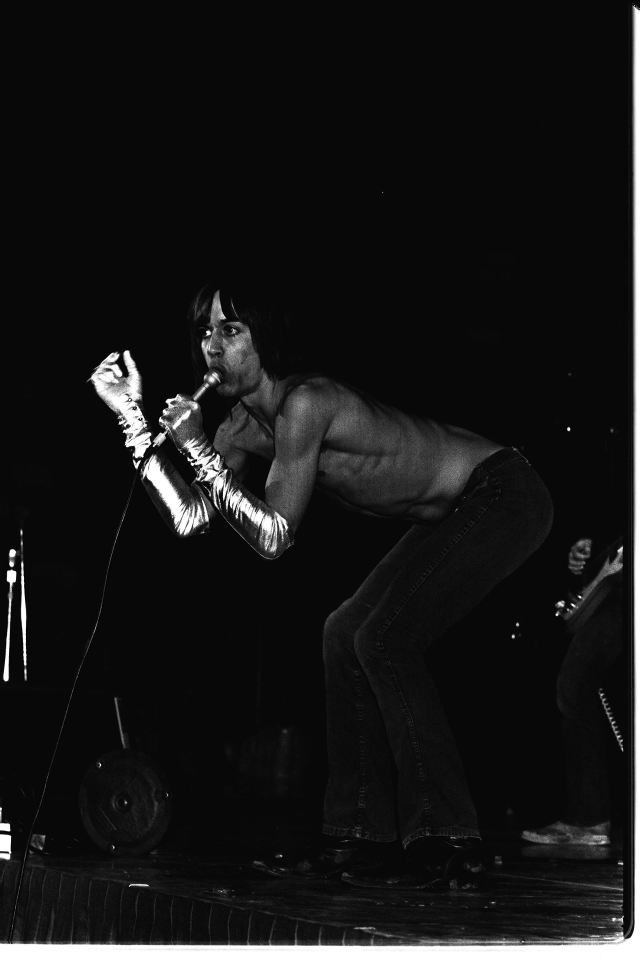 Iggy Pop Superstar Iggy Pop Superstar