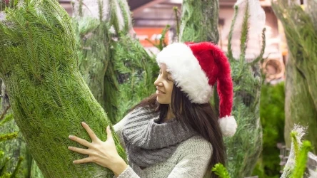 Żywa choinka czy sztuczna? To coroczny dylemat wielu rodzin.