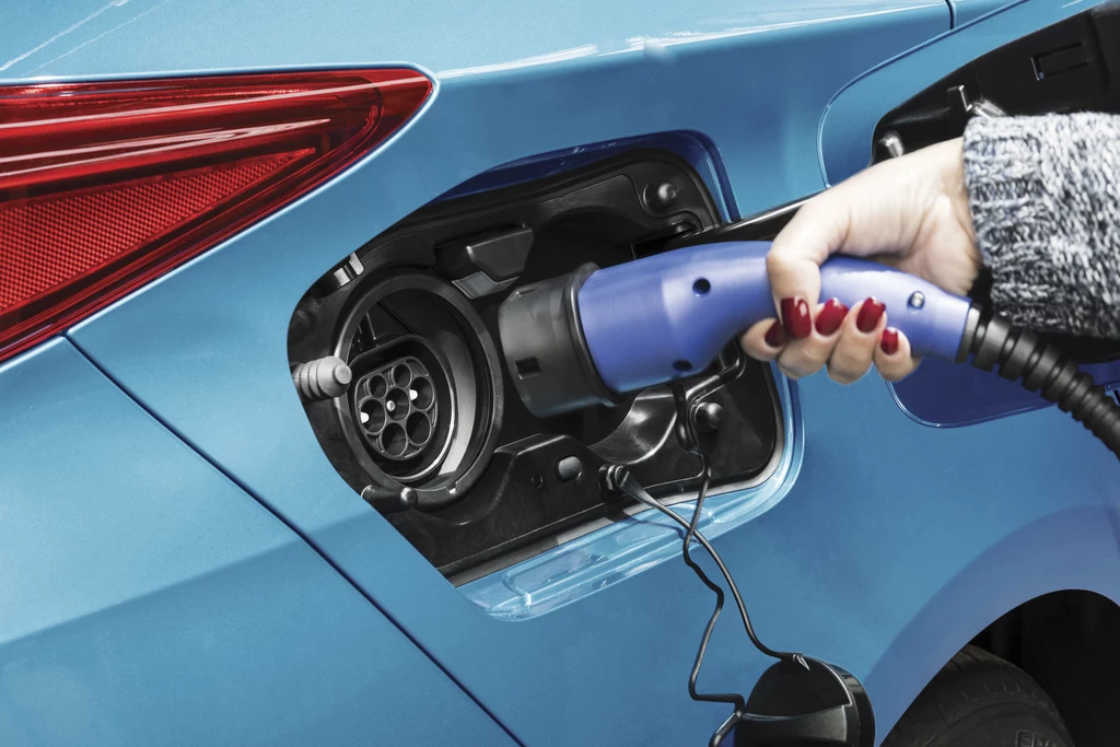 Toyota do tej pory specjalizowała się w hybrydach i w hybrydach plug-in