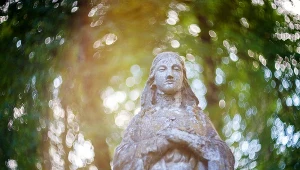 Zdjęcie ilustracyjne