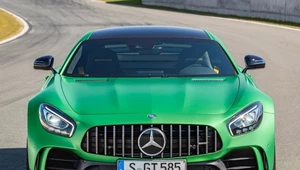 Mercedes-AMG GT R coupe za 771 tys. zł. Dużo?