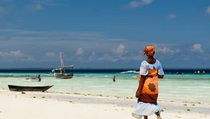 Zanzibar. Bez pustyni, bez puszczy