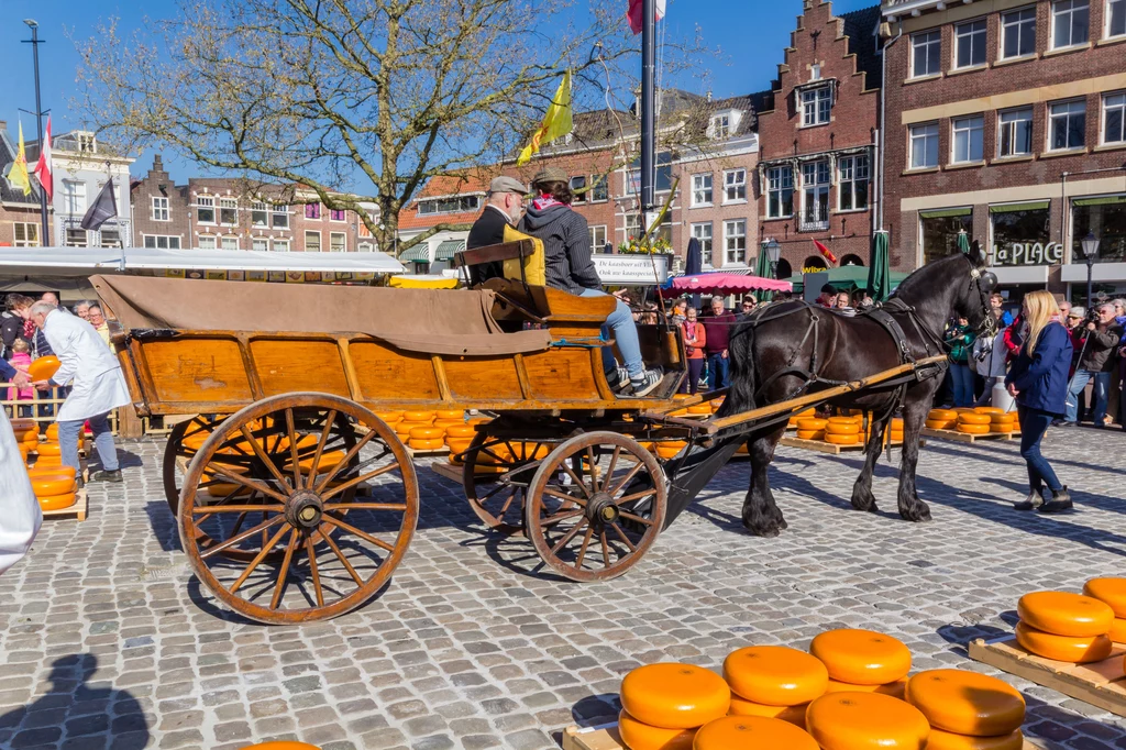 Gouda - słynne holenderskie miasteczko