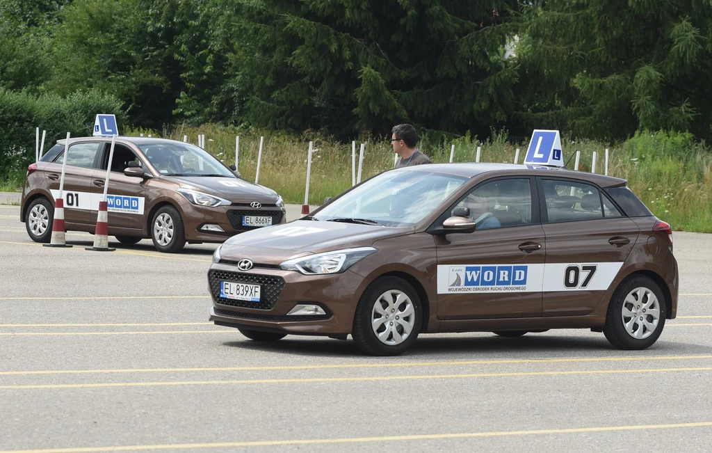 Wprowadzenie CEPiK 2.0 ma duże znacznie m.in. dla przyszłych kierowców