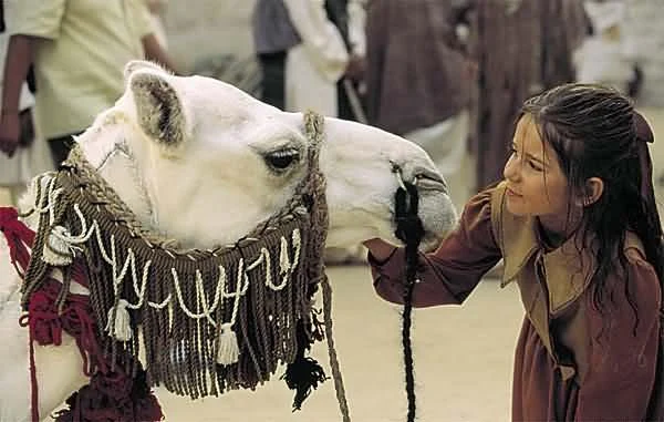 "Zwierzęta były sympatyczne. Fajnie się jeździło na słoniu i na wielbłądach. Z jednym bardzo się zaprzyjaźniłam i bardzo żałowałam, że nie mogę zabrać go do domu. Kupiłam sobie za to 30 pluszowych wielbłądów, które rozdałam klasie i przyjaciołom" - wspominała Karolina Sawka pracę na planie