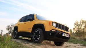 Jeep Renegade hitem w Europie​