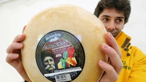 Parmezan; zdj. ilustracyjne 