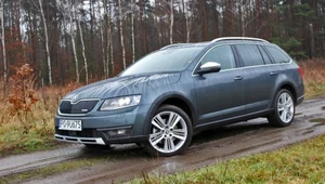 Skoda Octavia Scout zamiast SUVa? Czemu nie!