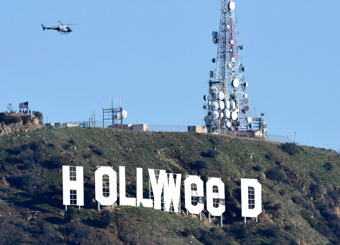 Hollyweed Hollyweed