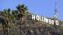 Hollyweed