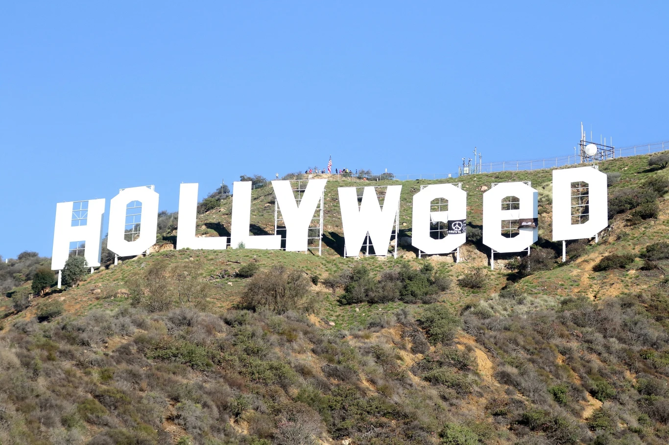 Hollyweed Hollyweed
