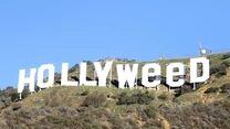 Hollyweed