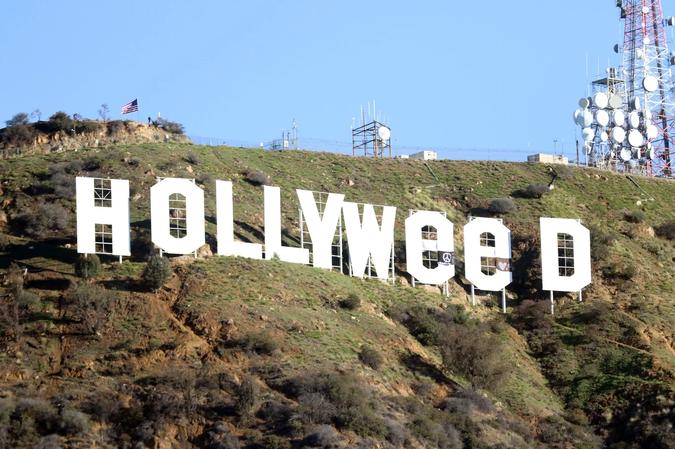 Hollyweed Hollyweed