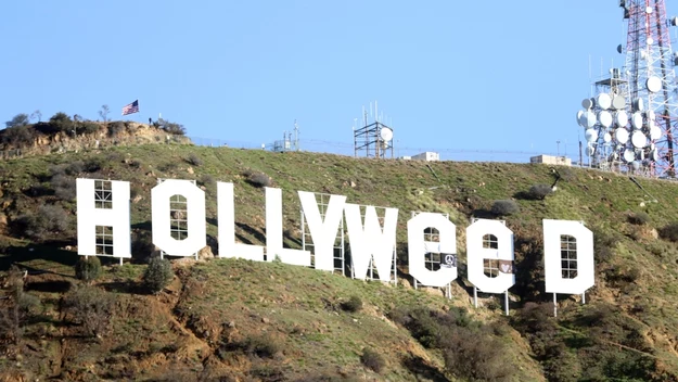 Hollyweed