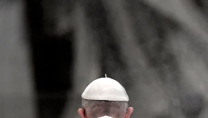 Papież: potępiamy pedofilię w Kościele i prosimy o przebaczenie