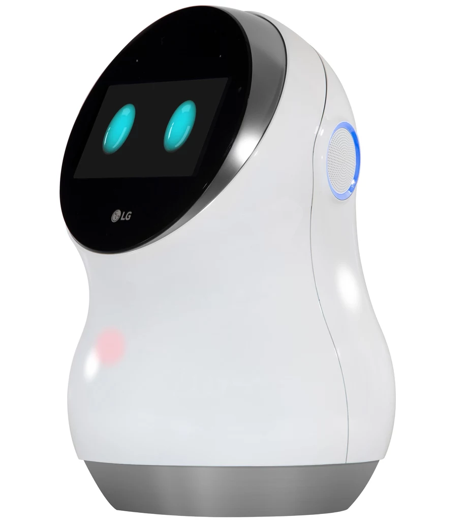 LG Hub Robot